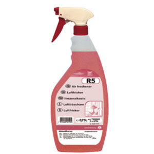 R5 DEODORANTE ROOM CARE - 750 ML