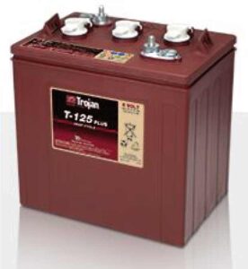 BATTERIA T125 PLUS 6V 195-240 AH