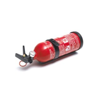 ESTINTORE POLVERE P2 KG 2
