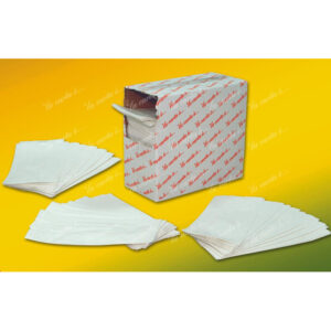 SACCHETTO KRAFT BIANCO 10x20 1B