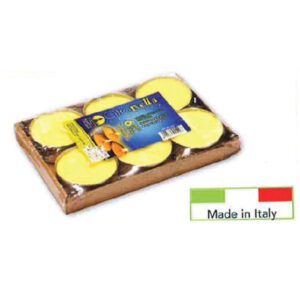 CITRONELLA TEALIGHTS MAXI  (6pz)