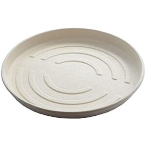 PIATTO PER PIZZA COMPOSTABILE - 165 PZ