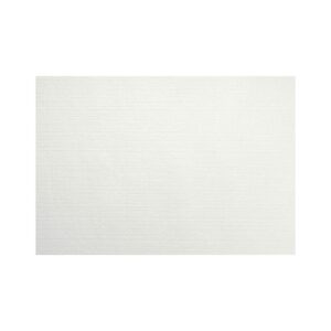 TOV.TE EVOLIN BIA 30x43 (cf 5x70 pz)