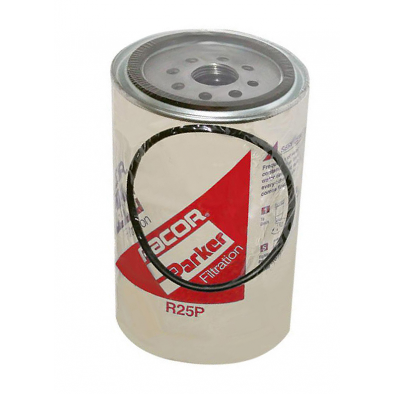 CARTUCCIA RICAMBIO R25P 30 MICRON